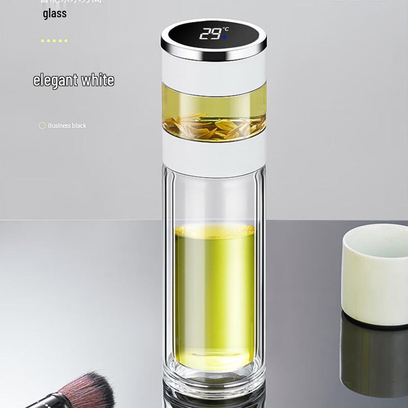Smart Temperature Double-Layer Glass Tea Infuser Bottle