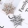 Exquisite Snowflake Brooches for Women Men Rhinestone Flower Winter Sweater Shirt Suit Collar Pins Jewelry Gifts