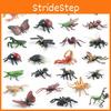 Simulated Wild Insect Butterfly Shoes Spider Dragonfly Model Ornament Set For Educational Displays And Collectors