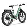 JOOBIKE JOO1 E-Bike 45KM/H Motore 1000W Batteria Nascosta 48V17.5Ah Ruote Grasse 26*3.0 Freni a Disco Idraulici Biciclette Elettriche