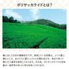 Ujitawara Seicha Kyoto Ujitawara Tea Factory Bancha Tea Bags 62 Bags 8g Green Tea Cold Brew Iced Tea