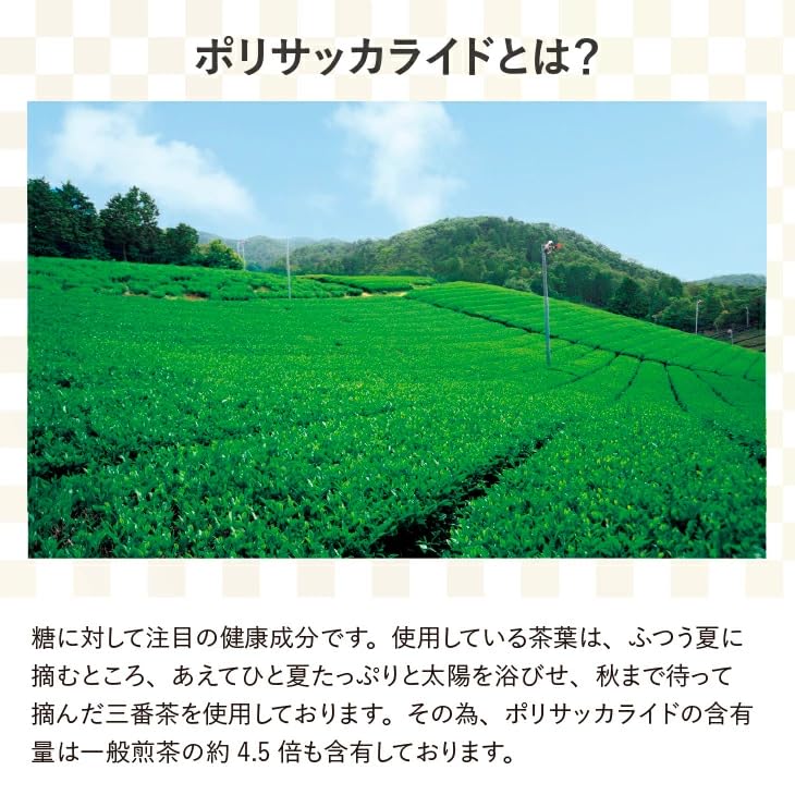 Ujitawara Seicha Kyoto Ujitawara Tea Factory Bancha Tea Bags 62 Bags 8g Green Tea Cold Brew Iced Tea