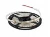 Liniowy Moduł 300Led 5M Ip64 3528 6400K
