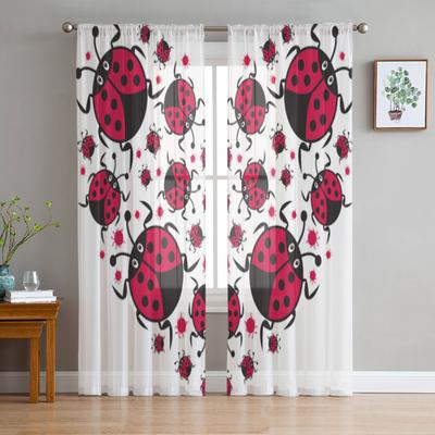 Cortinas y tul