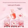 Concentrated Dish Soap & Scent Booster Bundle