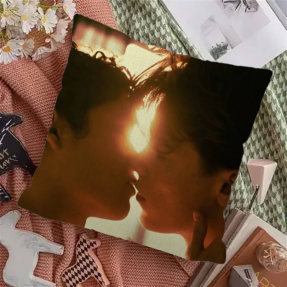 Gay Love Movies Y-Young Royals Cushion Cover Pillowcase Upholstery Sofa Throw Pillow Home Decor Pillowcas