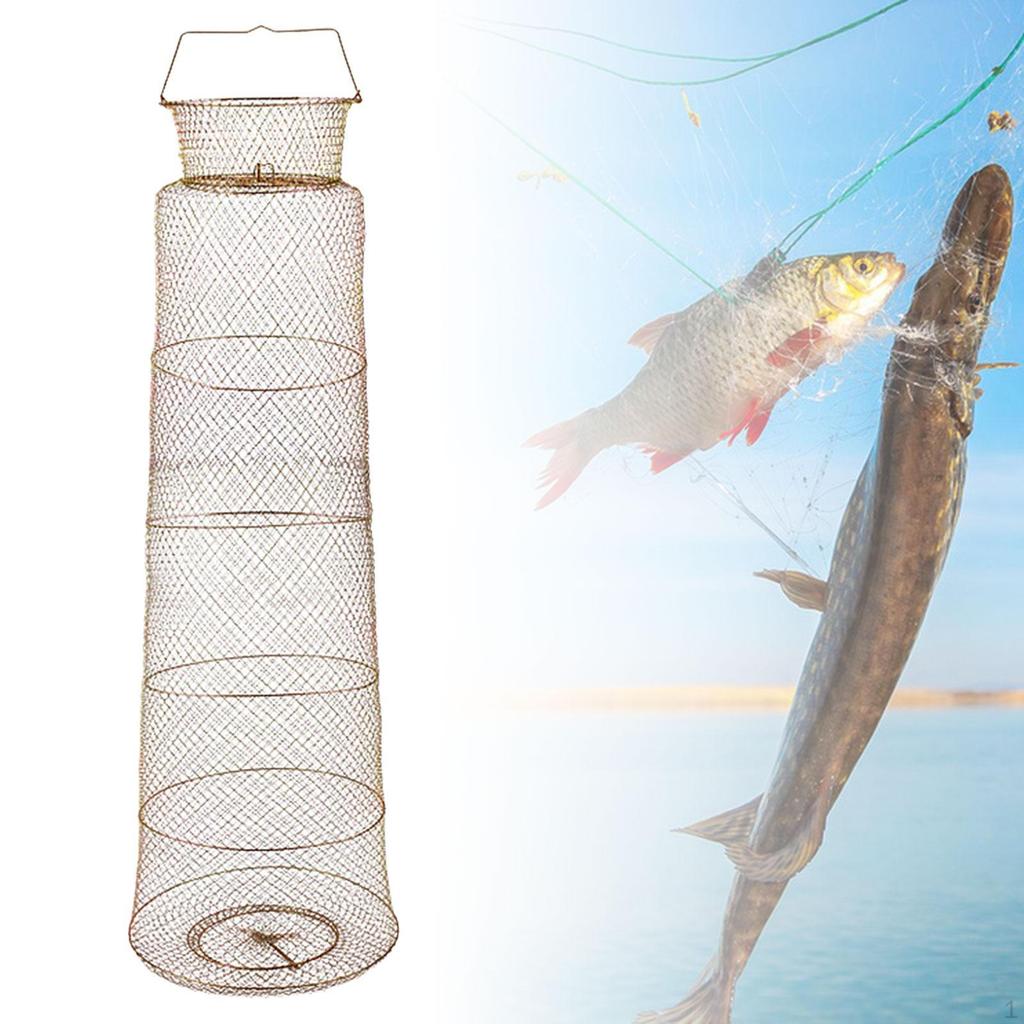 Portable Wire Mesh Fishing Basket
