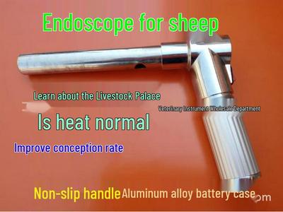 Veterinary Endoscope with Light for Pigs, Cattle, Sheep, and Dogs