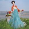 Chinese Tang Dynasty Style Chest Length One-piece Skirt Hanfu Set For Women