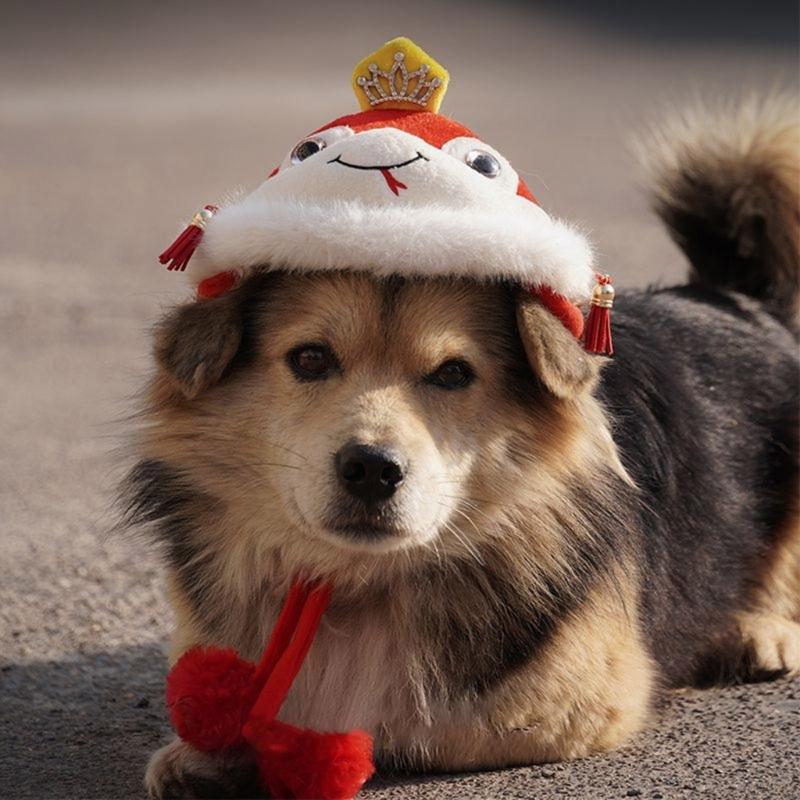 Winter Pet Hat Chinese New Year Snake Theme Headwear Hat For Holiday Celebration Dog Cats Head Accessory
