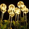 LED Round Ball Reed G80 Copper Wire Outdoor Waterproof Decorative Lawn Light (Plug-in)