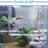 Peacock Fish Breeding Box Fish Aquarium Acrylic Isolation Box Fish Tank Hatchery Incubator Breeder Box