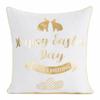 Spring Christmas Pillowcase 65 45X45 Pisan