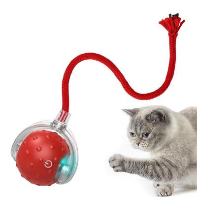 Gatos – Brinquedos para gatos