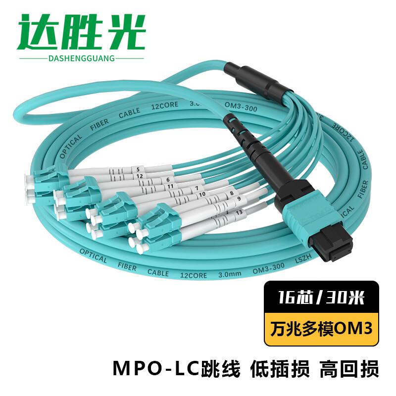 

Dasheng Optical 16-Core MPO-LC OM3 Multimode Fiber Patch Cable