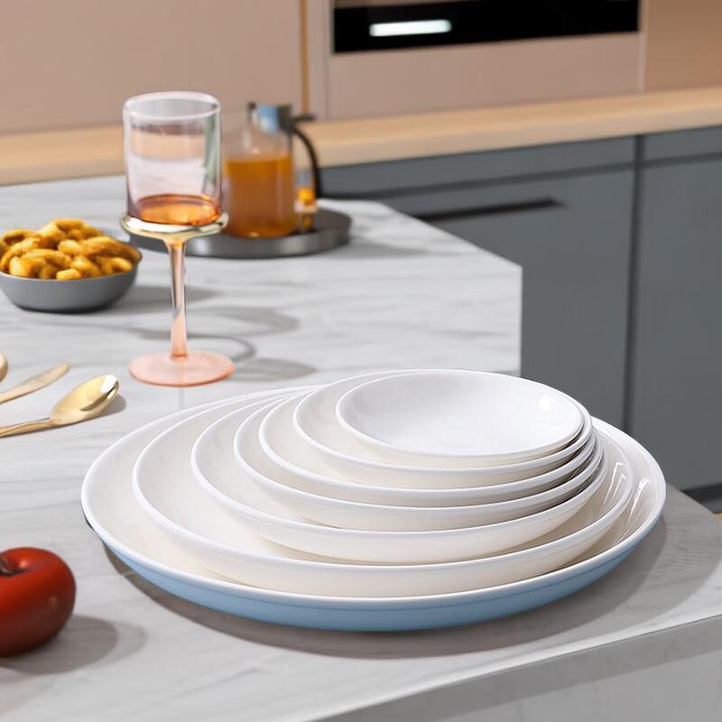 Dondhu Modern Minimalist Round White Ceramic Plate