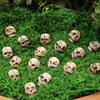20Pcs Realistic Resin Skull Figures Ideal for Haunted Houses Decorations Home Garden Accents