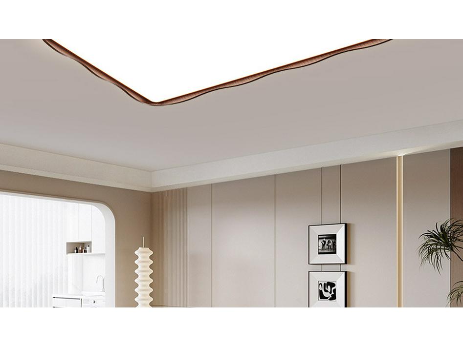Minimalist Full Spectrum LED Ceiling Light for Living Room, Hall, Bedroom (Zhongshan Lighting)