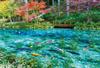 BEVERLY In Beverly 300 Piece Jigsaw Puzzle Colorful Pond X [Made Japan] Monet's (26 38cm) 300-025