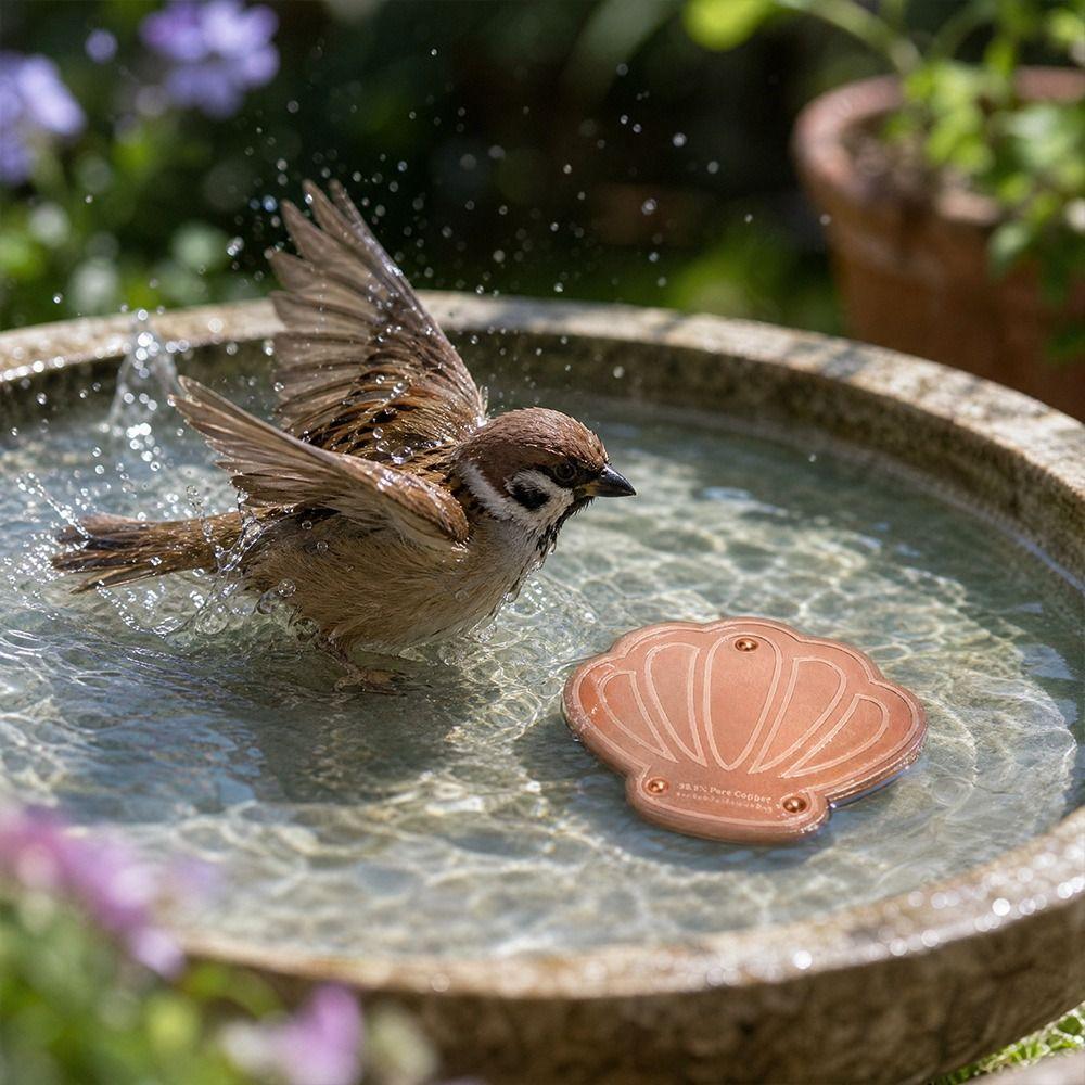 10cm Bird Bath Disk Round Cleaning Plate Bird Bath Water Fountain  for Garden Patio Lawn Fountain