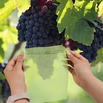 10/100 Stück Obstschutzbeutel Trauben Netzbeutel Vogelabwehr Schädlingsbekämpfung Gemüse Obst Netzabdeckungen mit Kordelzug Gartengeräte