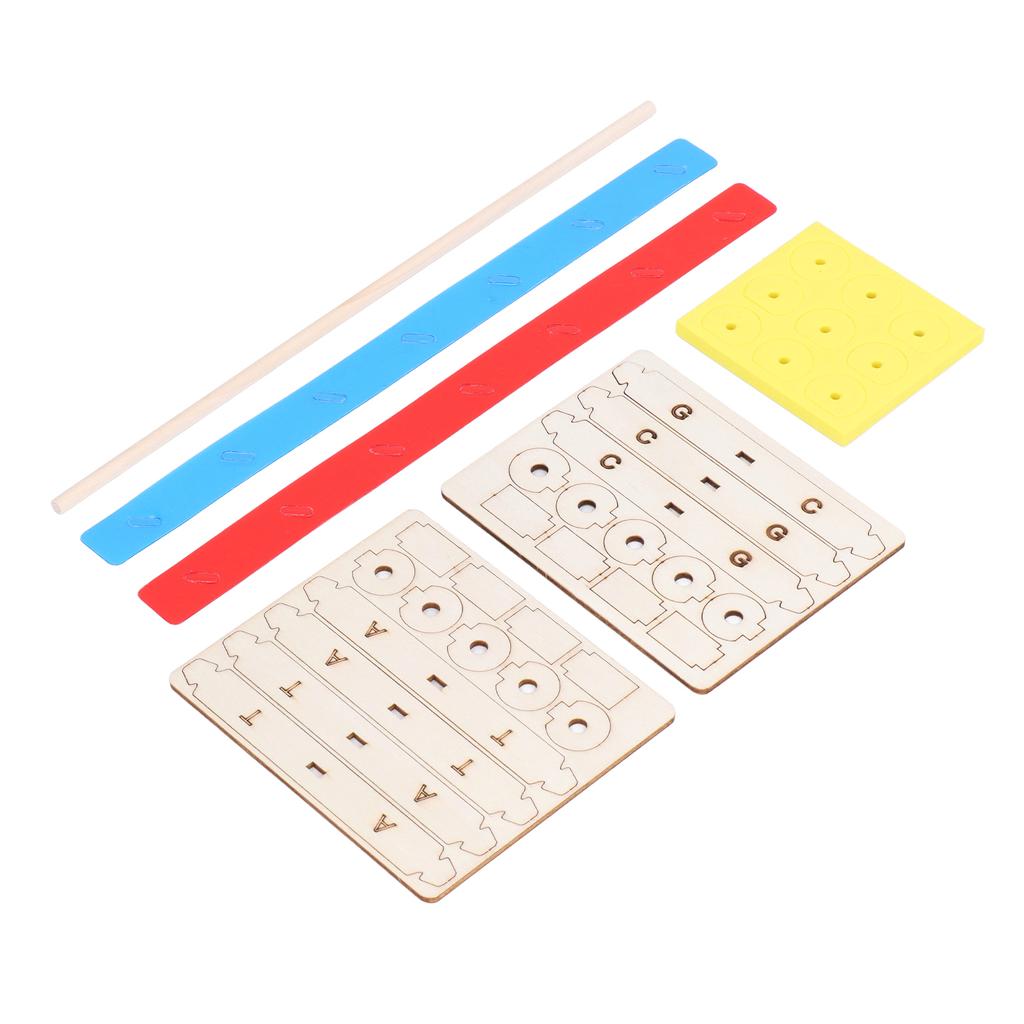 Model ADN din lemn Ajutor sănătos Învățați Ușor de instalat DIY Model dublă spirală pentru 6 ani +