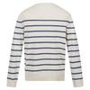 Regatta Mens Cautley Striped Knitted Jumper