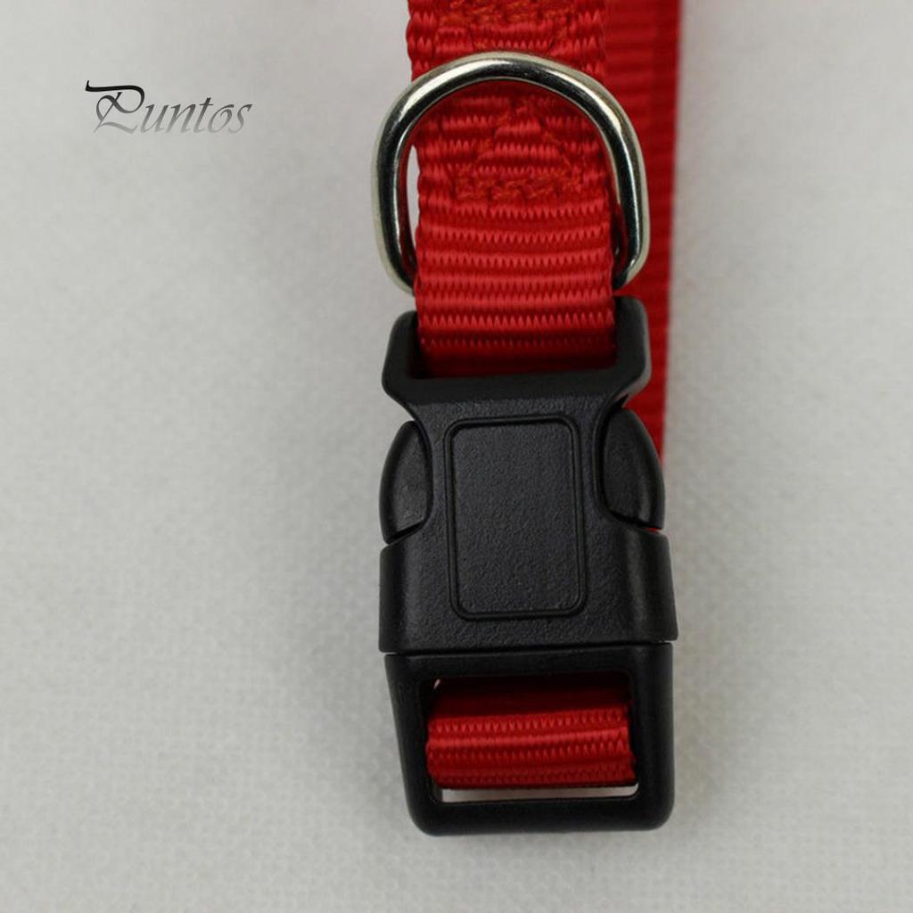 Puppies Pet Collar Neck Strap Outdoors