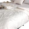 Fangwang Tussah Silk Quilt