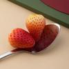 Chahua 304 Stainless Steel Dinner Spoon
