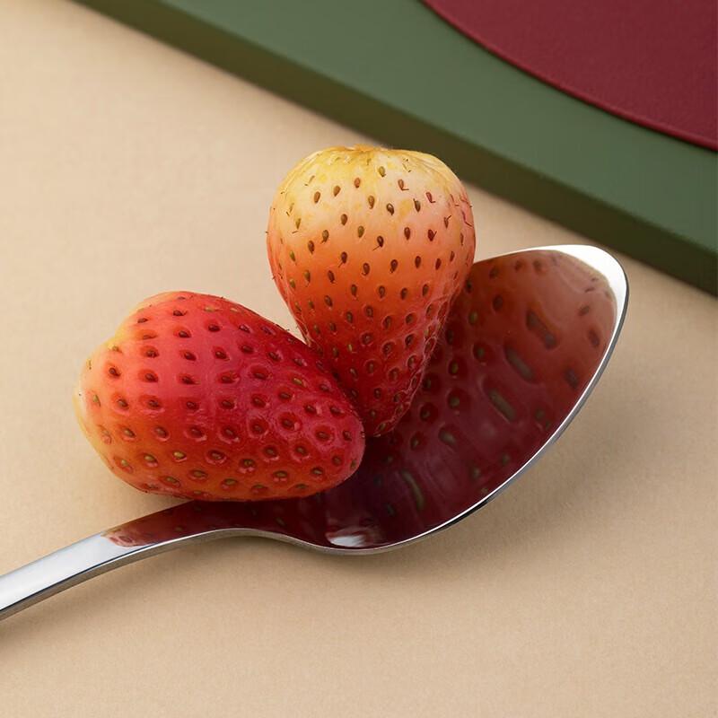 Chahua 304 Stainless Steel Dinner Spoon