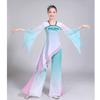 Adult Classical Dance Performance Dress
