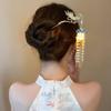 Lotus Flower LED Hair Stick Pearl Tassel Hanfu Hair Clip Fashion Lantern Hairpin  Daily