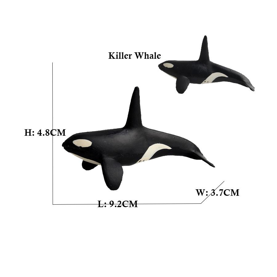 Endangered Marine Animals Figurines Killer Shark Orca Beluga Whale Dolphin Seal Model Action Figure Toy Conservation Awareness