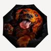 Dog, Portrait- Automatic Umbrella,Suitable for Men and Women,Suitable for Birthdays, Christmas, Gifts for Fashion Lovers0922b