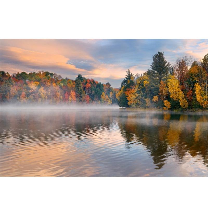 Autumn Landscape Backdrop Fall Forest Maple Fallen Leaves Nature Scenery Harvest Thanksgiving Portrait Photography Background Vinyl 60x40cm