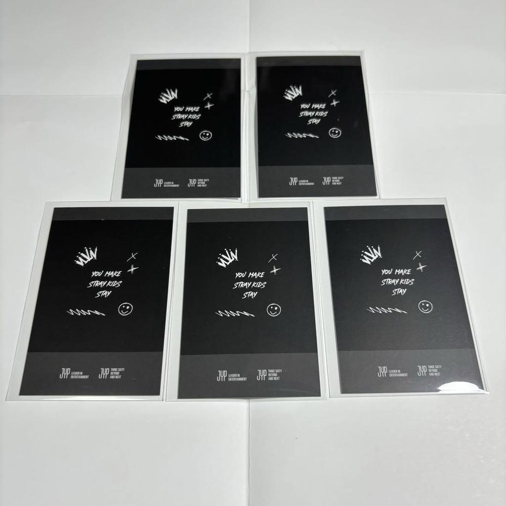 [USED] Stray Kids VICTORY Pola Instax SKZOO Trading Card Bonus