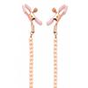 Female Nipple Clamps Collar With Pearl Chain Set Clitoris Nipple Clips Breast Bondage Slave Fetish Sex Toy Woman
