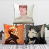 Federa Singer D-David B-Bowie per Divano Letto Comodino Camera da Letto Schienale Soggiorno Ufficio Cuscino Quadrato Stampato Multiplo