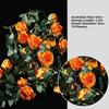 Plastic Silk Artificial Australian Rose Vine 10 Colors 1.8m 54 Heads Hanging Flowers Bud Rattan Wall Decor Rattan