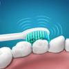 WyFun Compatible Replacement Brush Heads for Philips Electric Toothbrush HX6950 Brush Cleans Between Teeth with Sonic Waves (12 Heads) -