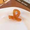 Wind-Acetic Acid Small Hair Clips, Female Forehead Bang Clips, Half-Tie Hair Claw Clips, Elegant Hair Clips, Headwear