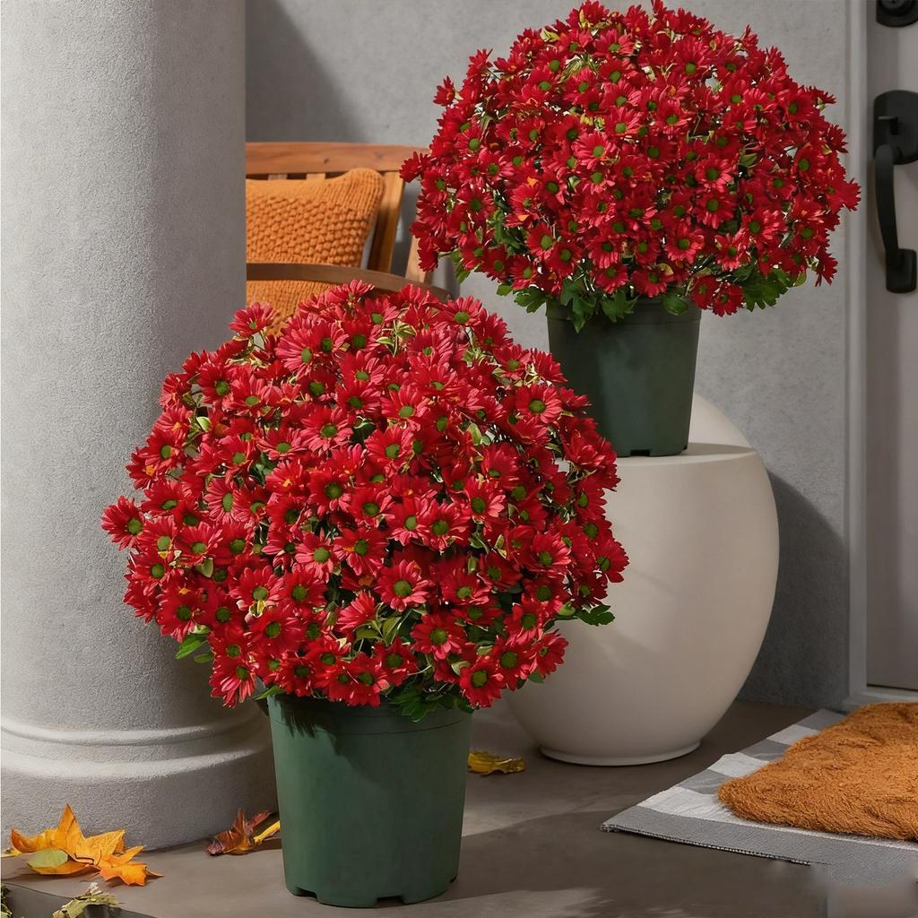 Realistisches Aussehen: Haustür, Veranda, Innenhof, Balkon, Künstliche Außenbereich, Sonnenuntergangsblumen