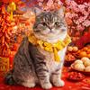 Chinese Style Pet Cat Scarf Cute Puppy Bib Adorable New Year Dog Collar  Party Accessories