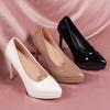 Spring New Commuter Pointed Toe Nude Color Sexy Stiletto Heel Women's High Heels
