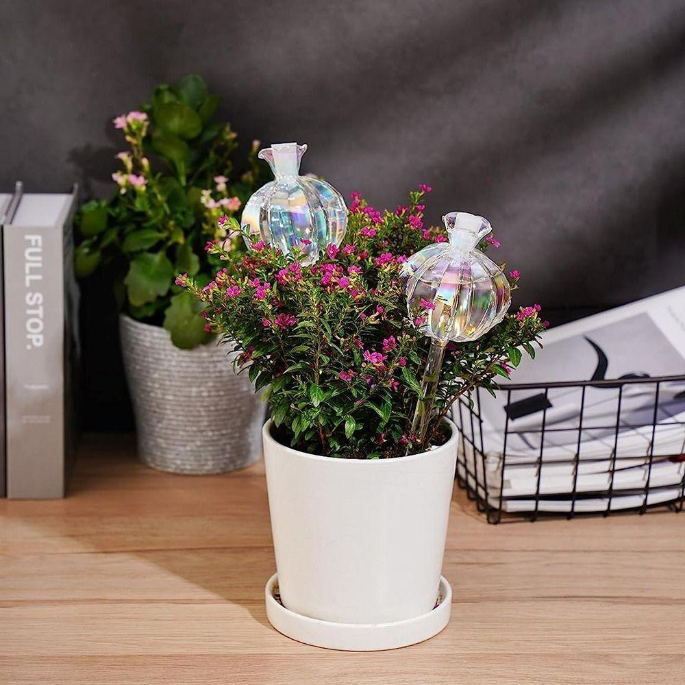 Cactus Cactus Self Watering Planter Automatic Cute Automatic Plant Watering Bulbs Glass Plant Water Feeder Glass Bulbs Indoor