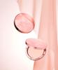 Art Pact Original Pro Finish 25g Rose Latte Brush Set