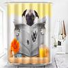 Cat Brushing Teeth Shower Curtain Bathroom Product Waterproof Durable Polyester Fabric Room Decoration cortinas With 12pcs Hooks