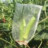 Fruit Protect-Net Bag Garden Plant Mesh Anti Insect Fly Bird Monkey Squirrel AU