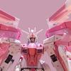 ZGMF-X10A HG 1/144 Początkujący Model do Składania Mecha Freedom Figurki Akcji Schemat Kolorystyczny Wiśniowy Kwitnący Zabawka dla Dzieci Prezent Dekoracja